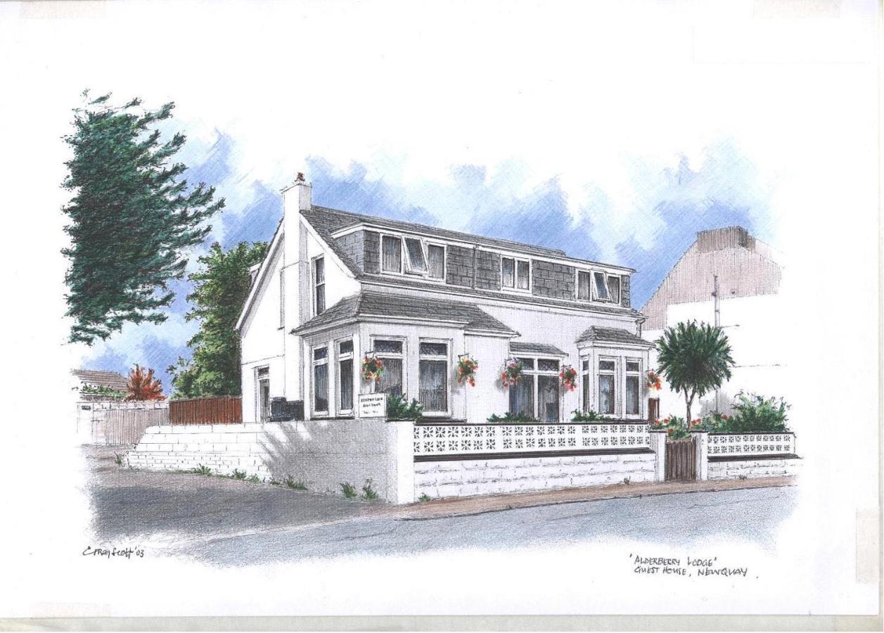 Alderberry Lodge New Quay Zewnętrze zdjęcie